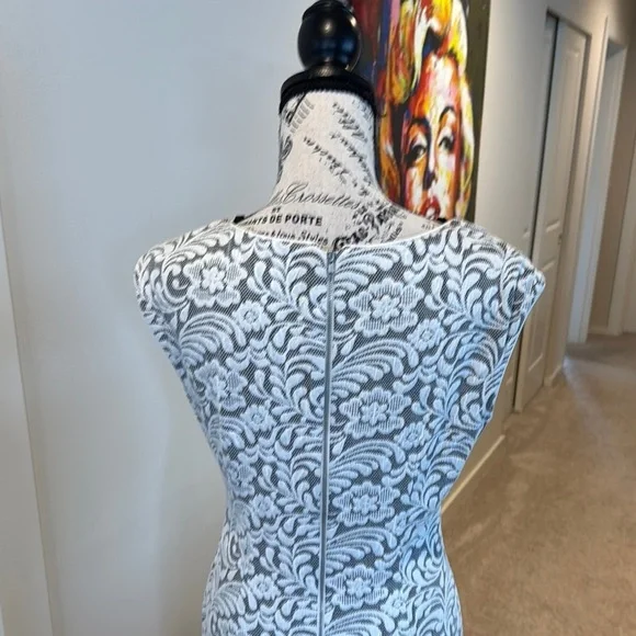 Maggy London Black and White A-line Midi Dress - Picture 7 of 12